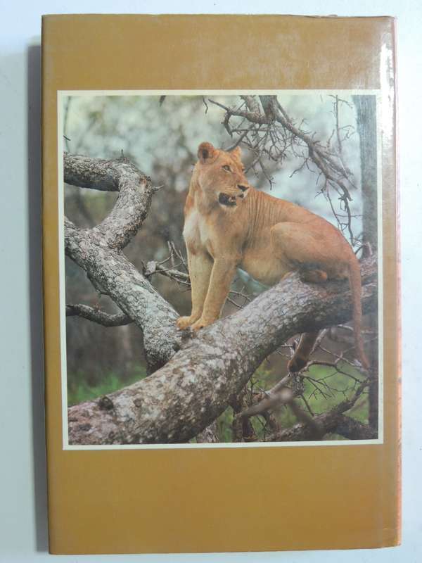 Lion - G.L.Smuts