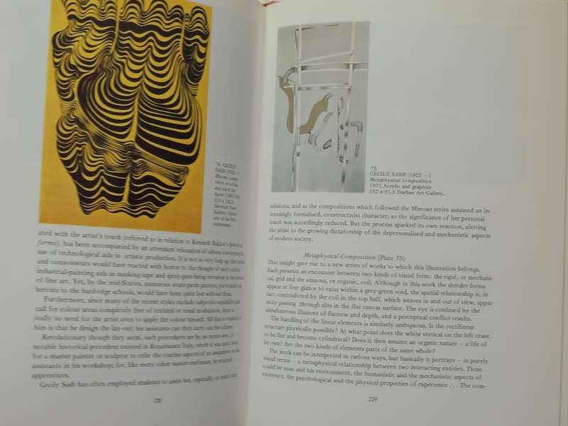 The Story of South African Painting  - Esme Berman   First Edition  1975
