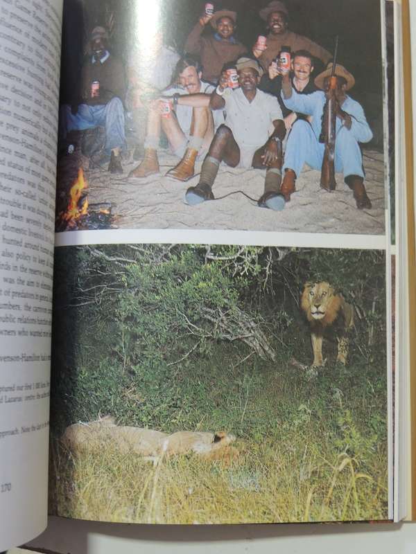 Lion - G.L.Smuts
