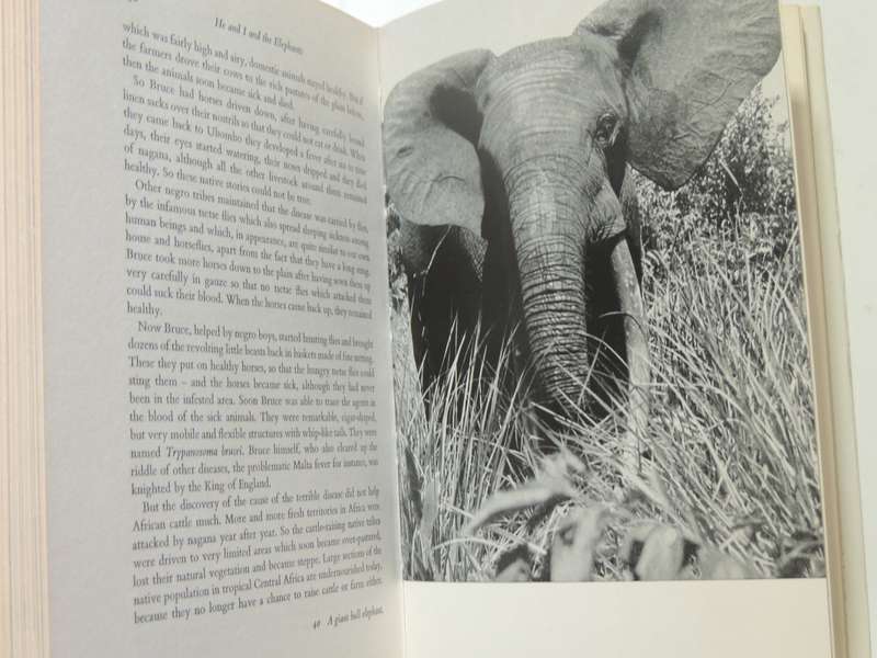 He And I And The Elephants - Bernhard Grzimek