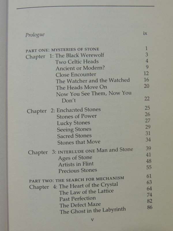 The Secret Language Of Stone - Don Robins