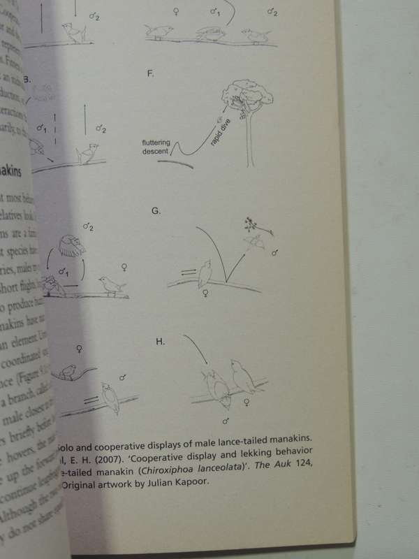 Animal Behavior- John Byers