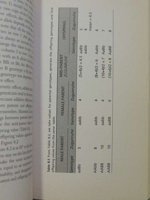 Animal Behavior- John Byers