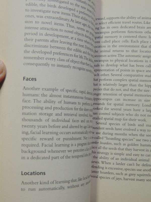Animal Behavior- John Byers
