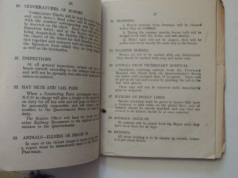 Ormskirk Remount Depot: Standing Orders March 1918