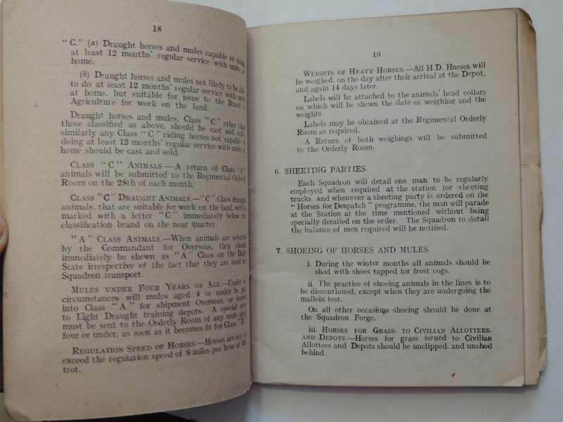 Ormskirk Remount Depot: Standing Orders March 1918