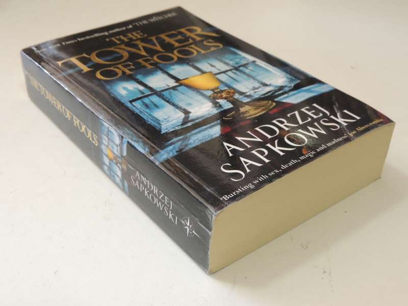 The Tower of Fools - Andrzej Sapkowski