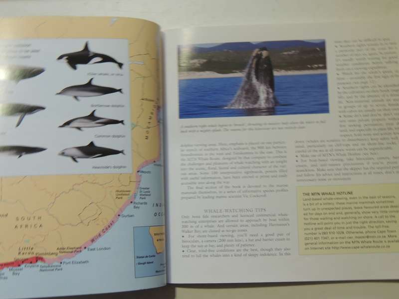 Whale Watch: A Guide To Whales And Other Marine Mammals Of Southern Africa Vic Cockcroft & Peter Joy