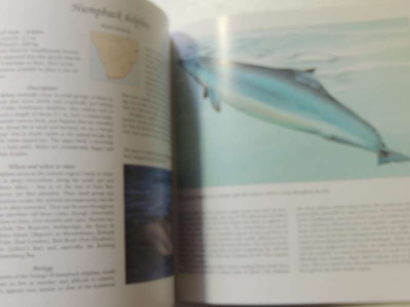 Whale Watch: A Guide To Whales And Other Marine Mammals Of Southern Africa Vic Cockcroft & Peter Joy