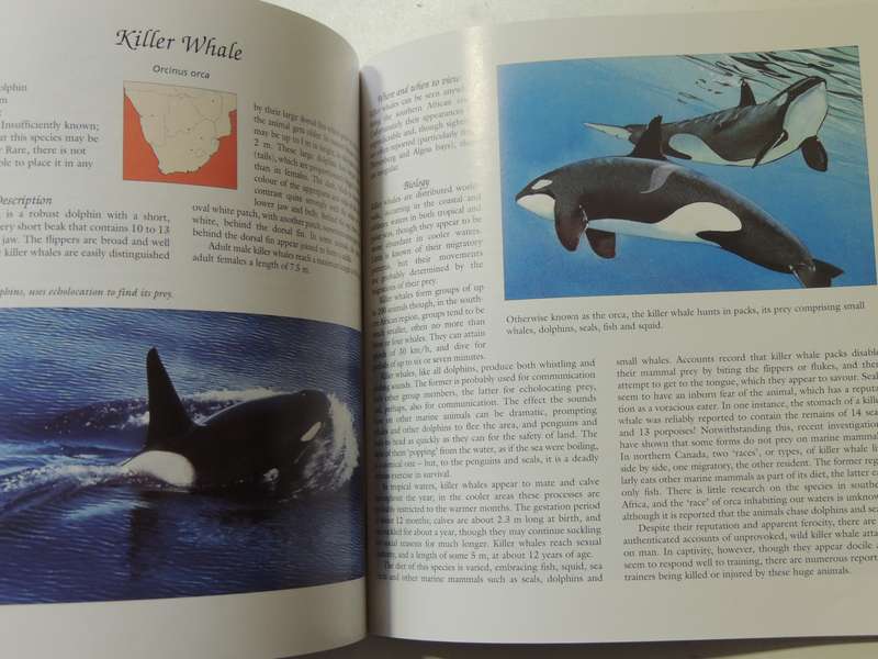 Whale Watch: A Guide To Whales And Other Marine Mammals Of Southern Africa Vic Cockcroft & Peter Joy