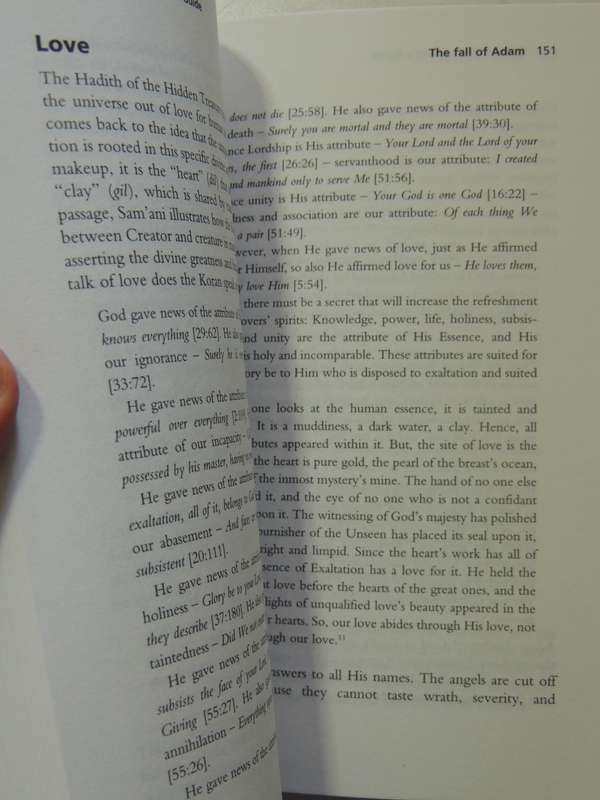 Sufism : A Beginners Guides- William C. Chittick