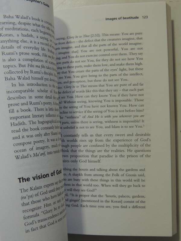 Sufism : A Beginners Guides- William C. Chittick