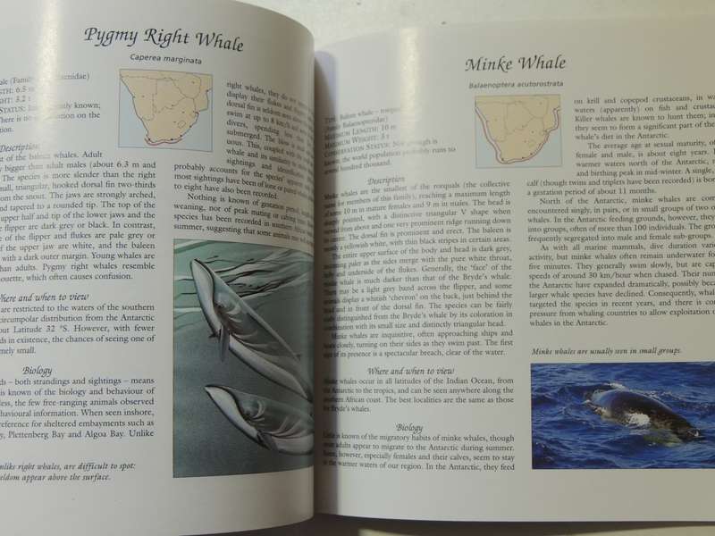 Whale Watch: A Guide To Whales And Other Marine Mammals Of Southern Africa Vic Cockcroft & Peter Joy