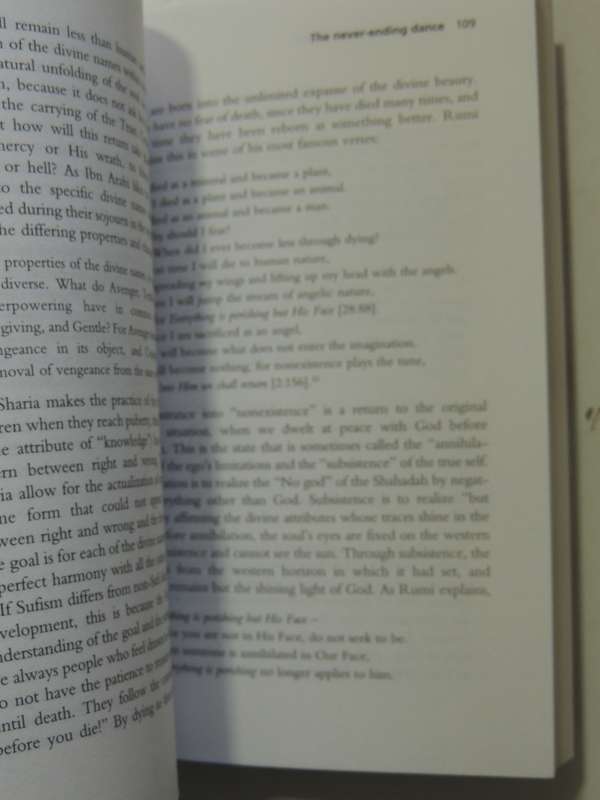 Sufism : A Beginners Guides- William C. Chittick