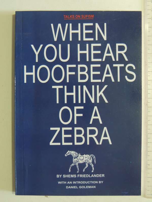 When You Hear Hoofbeats Think Of A Zebra - Shems Friedlander