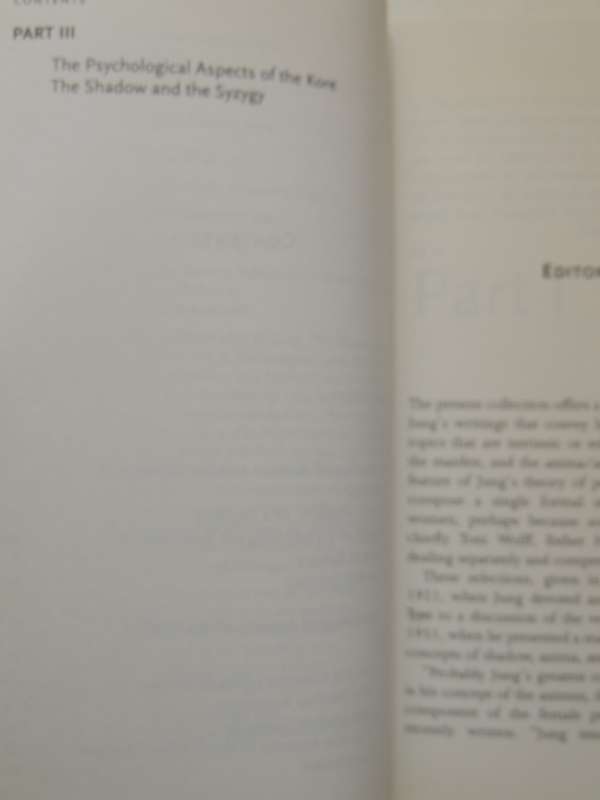 Aspects of the Feminine - Carl Gustav Jung