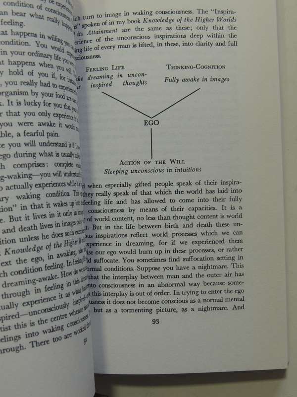 Study Of Man: General Education Course - Rudolf Steiner
