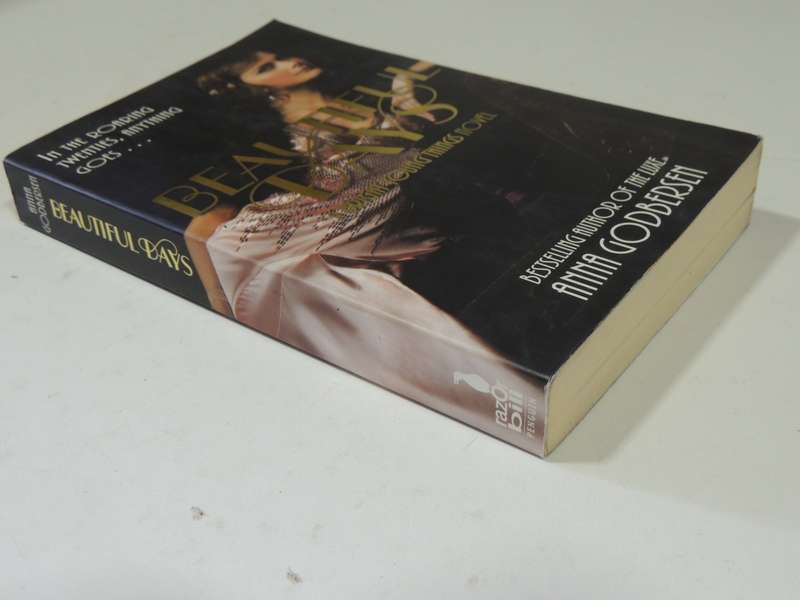 Beautiful Days - A Bright Young Things Novel - Anna Godbersen