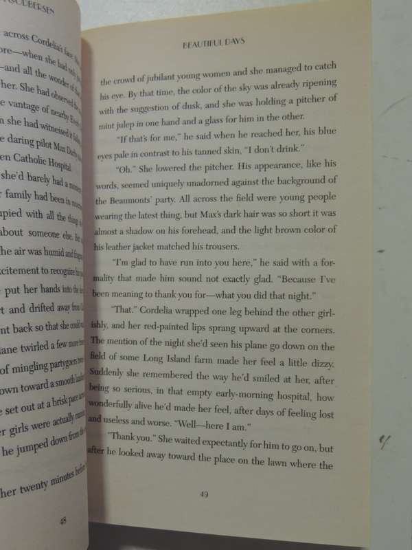 Beautiful Days - A Bright Young Things Novel - Anna Godbersen