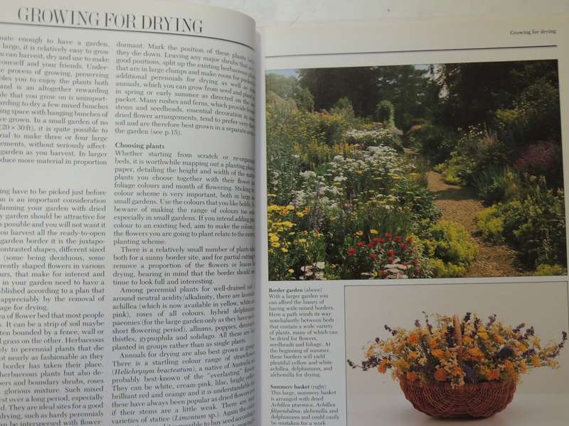 The Complete Book of Dried Flowers - Malcolm Hiller, Colin Hilton