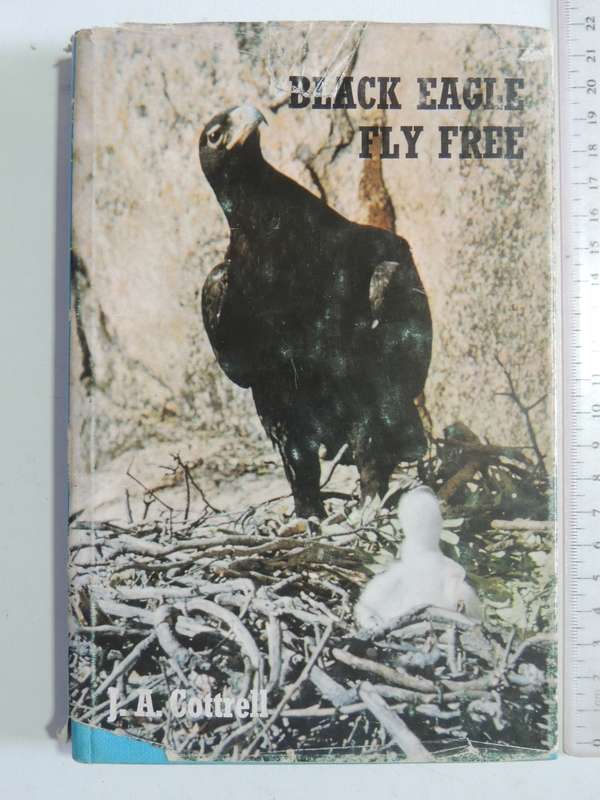 Black Eagle Fly Free - J.A. Cottrell