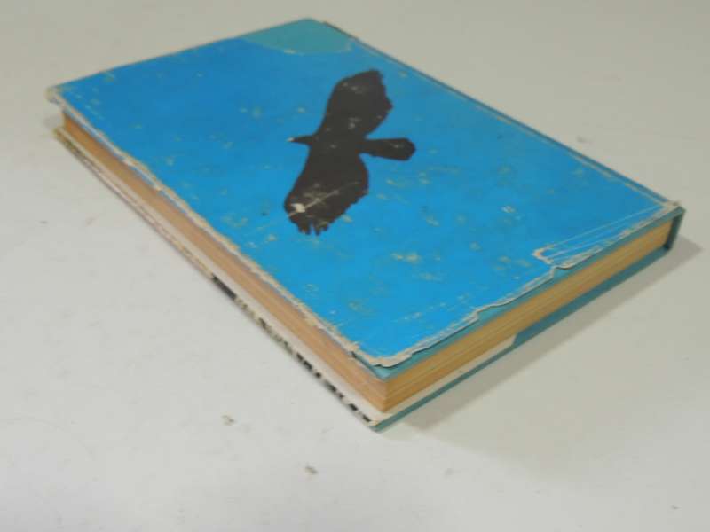 Black Eagle Fly Free - J.A. Cottrell