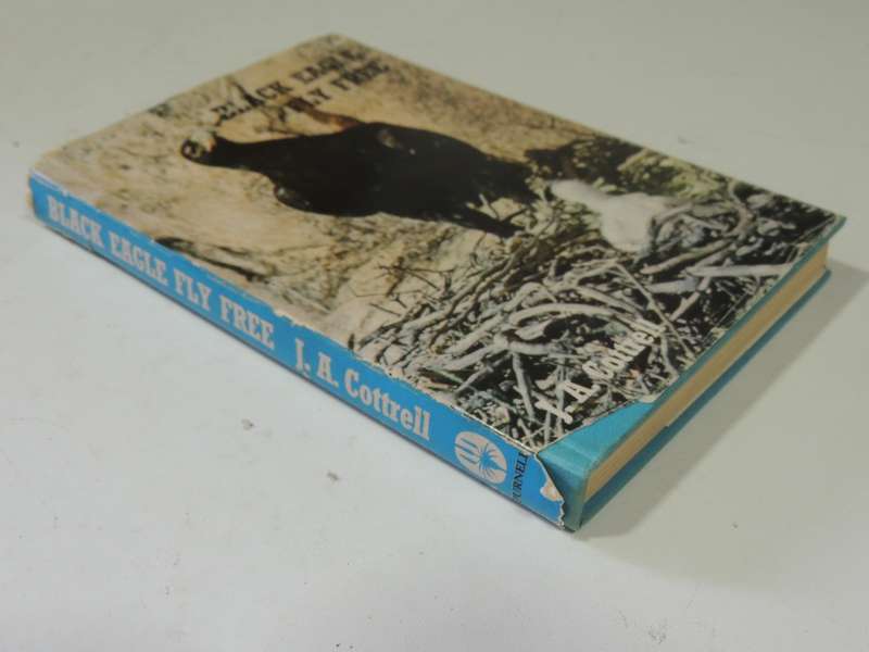 Black Eagle Fly Free - J.A. Cottrell
