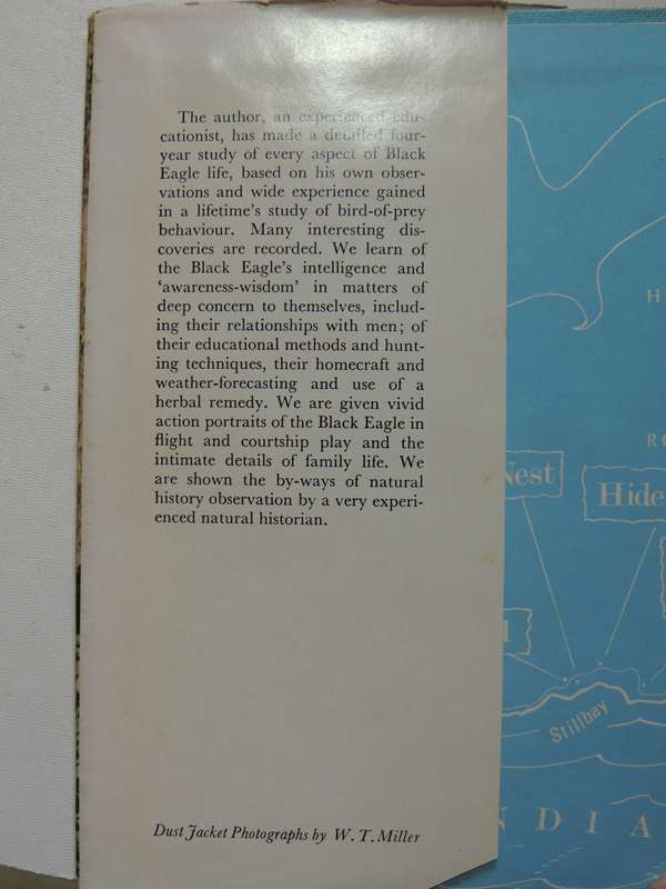 Black Eagle Fly Free - J.A. Cottrell