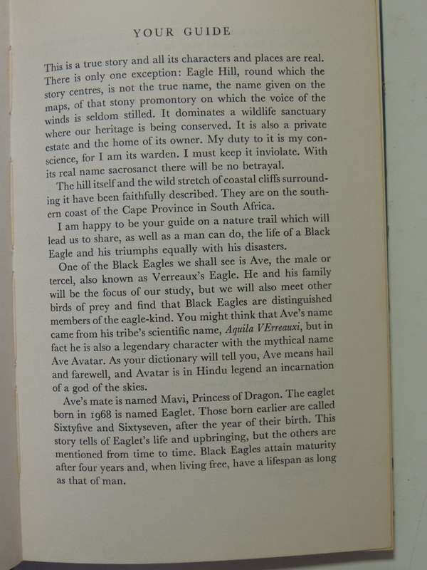 Black Eagle Fly Free - J.A. Cottrell