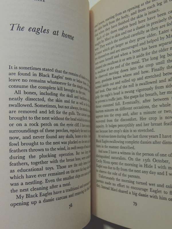 Black Eagle Fly Free - J.A. Cottrell