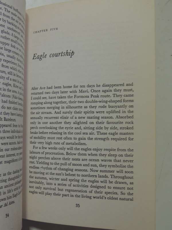 Black Eagle Fly Free - J.A. Cottrell