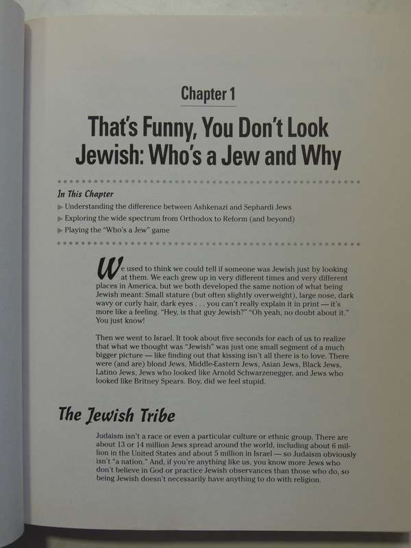 Judaism For Dummies - Rabbi Ted Falcon, Ph.D. & David Blatner