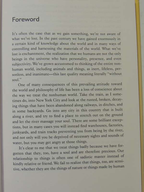 Earth Angels - Engaging The Sacred In Everyday Things- Shaun McNiff