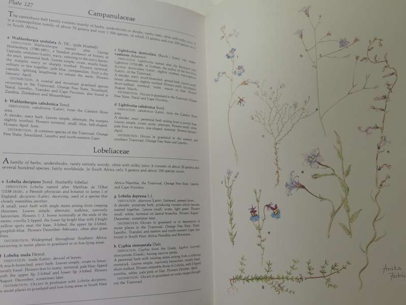 Transvaal Wild Flowers - Anita Fabian & Gerrit Germishuizen