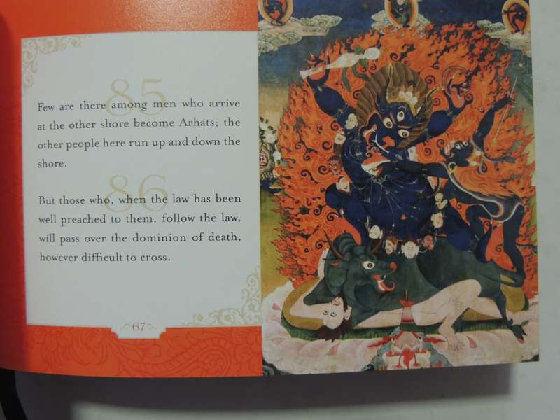 The Way Of The Buddha: The Illustrated Dhammayada - trans. F. Max Muller