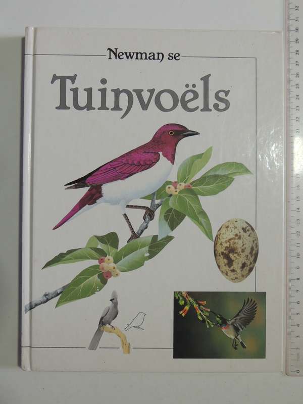 Newman seTuinvoels- Kenneth Newman    AFRIKAANS