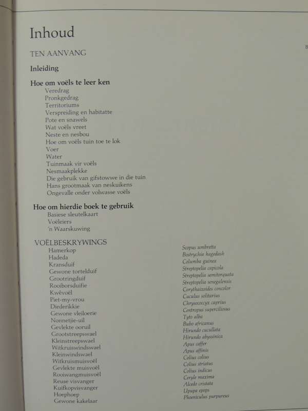 Newman seTuinvoels- Kenneth Newman    AFRIKAANS