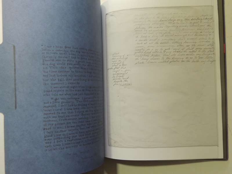Esopus: Number 6