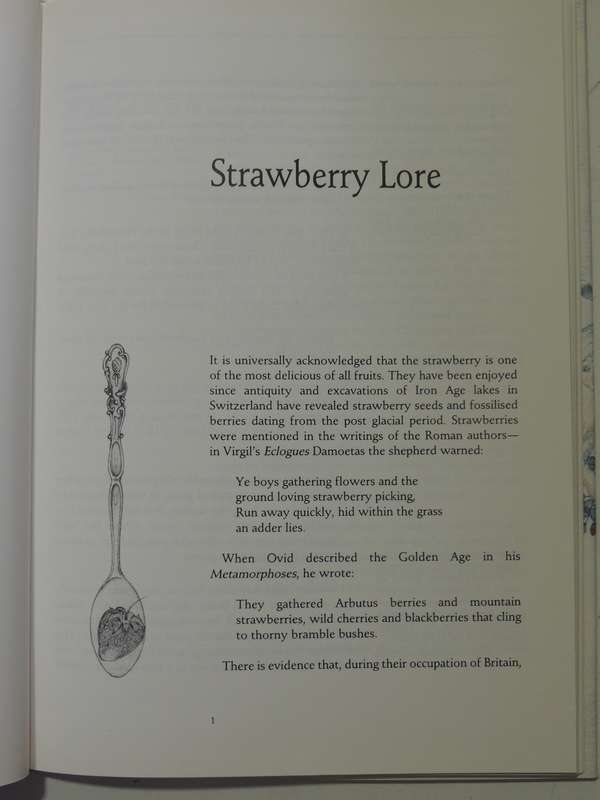 Strawberries - Pamela Allardice