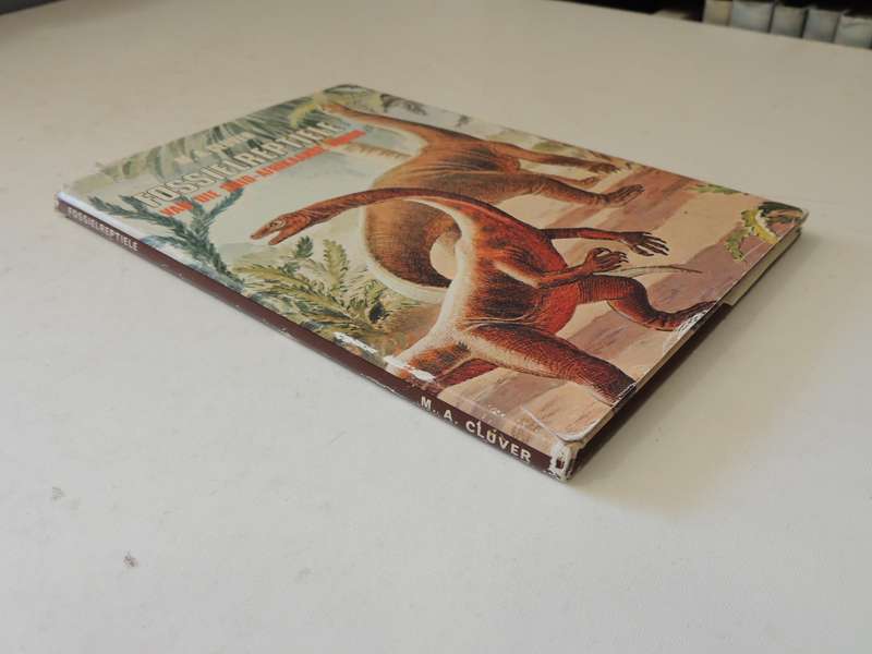 Fossielereptiele Van Die Suid-Afrikaanse Karoo - M.A. Cluver