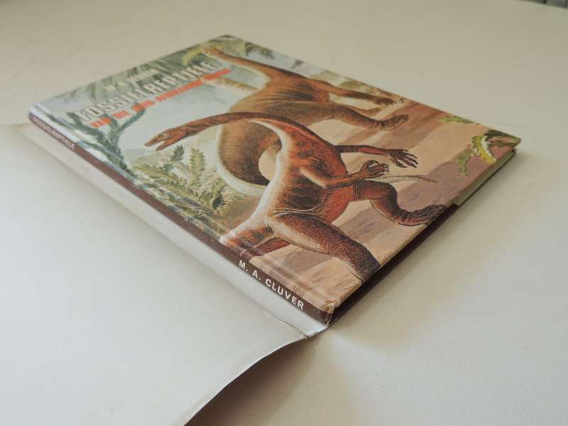 Fossielereptiele Van Die Suid-Afrikaanse Karoo - M.A. Cluver
