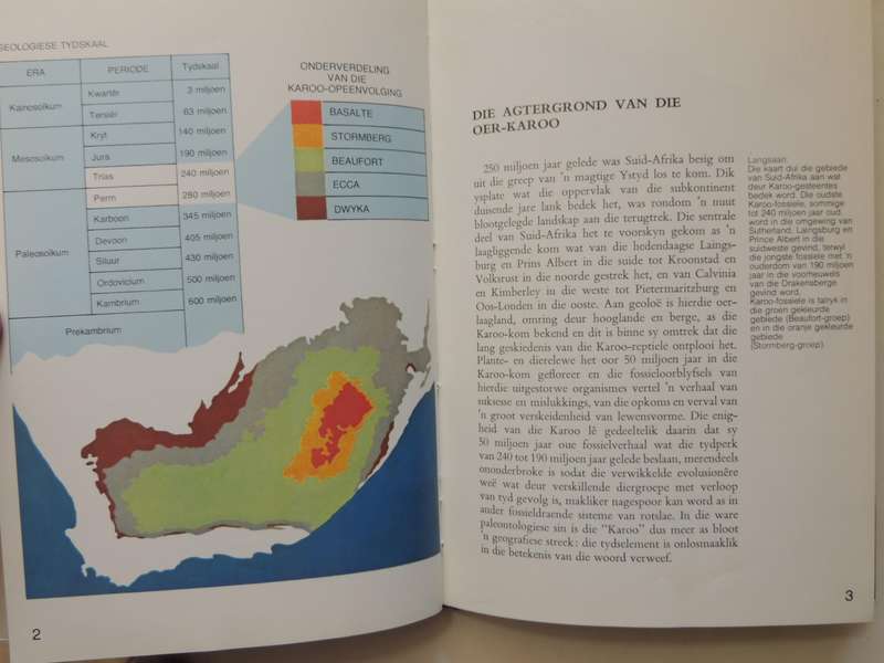 Fossielereptiele Van Die Suid-Afrikaanse Karoo - M.A. Cluver