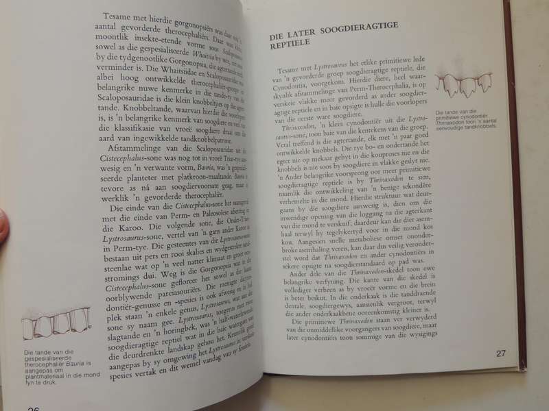 Fossielereptiele Van Die Suid-Afrikaanse Karoo - M.A. Cluver