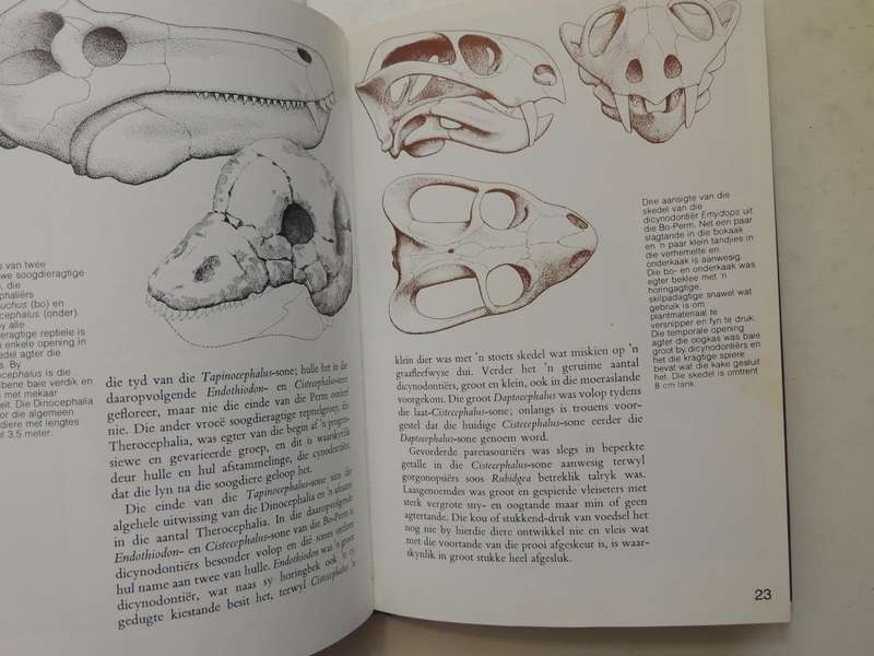 Fossielereptiele Van Die Suid-Afrikaanse Karoo - M.A. Cluver