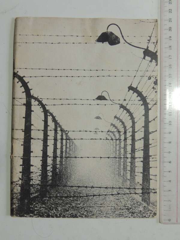The Holocaust: The Falsehoods And The Facts - Arthur Suzman