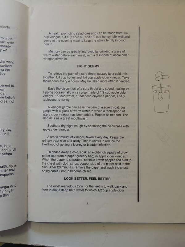 The Vinegar Book -Emily Thacker