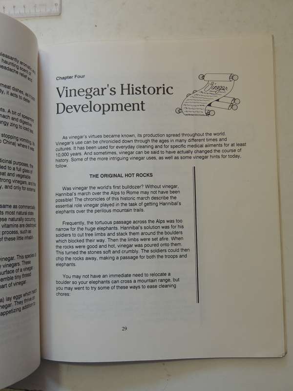The Vinegar Book -Emily Thacker