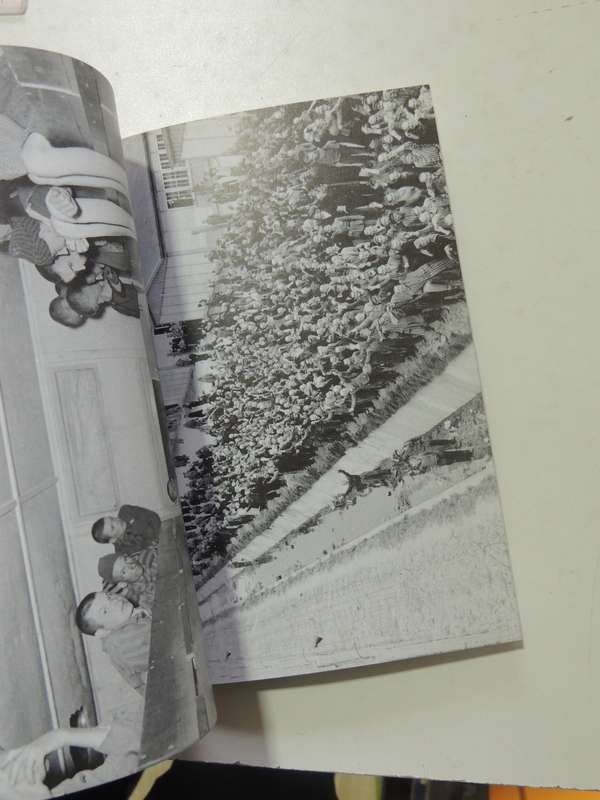 Dachau Concentration Camp- Barbara Distel