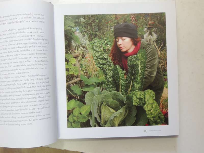 Jane's Delicious Garden: How To Grow Organic Vegetables And Herbs In South Africa  - Jane Griffiths