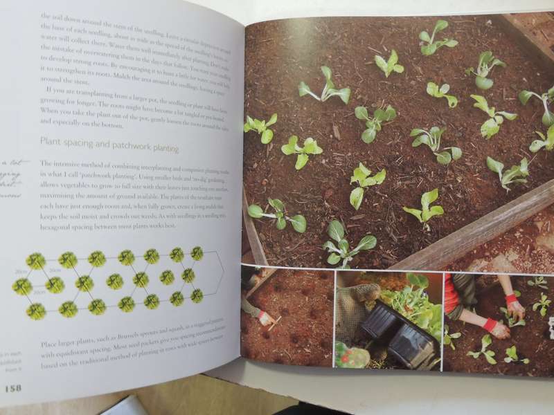 Jane's Delicious Garden: How To Grow Organic Vegetables And Herbs In South Africa  - Jane Griffiths